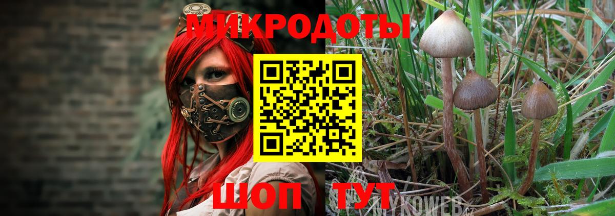 Галлюциногенные грибы прущие грибы  Вход с VPN  Сердобск 